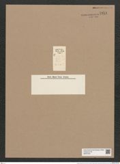 Diadesmis biceps Arnott. (de-Toni-Nr.: Genus 84, Species 2949.1) Zeichnungen Sammlung Grunow Nr. 5954 (NHMW-BOT-W0374431)